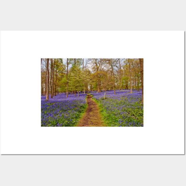 Bluebell Woods Greys Court Oxfordshire UK Wall Art by AndyEvansPhotos